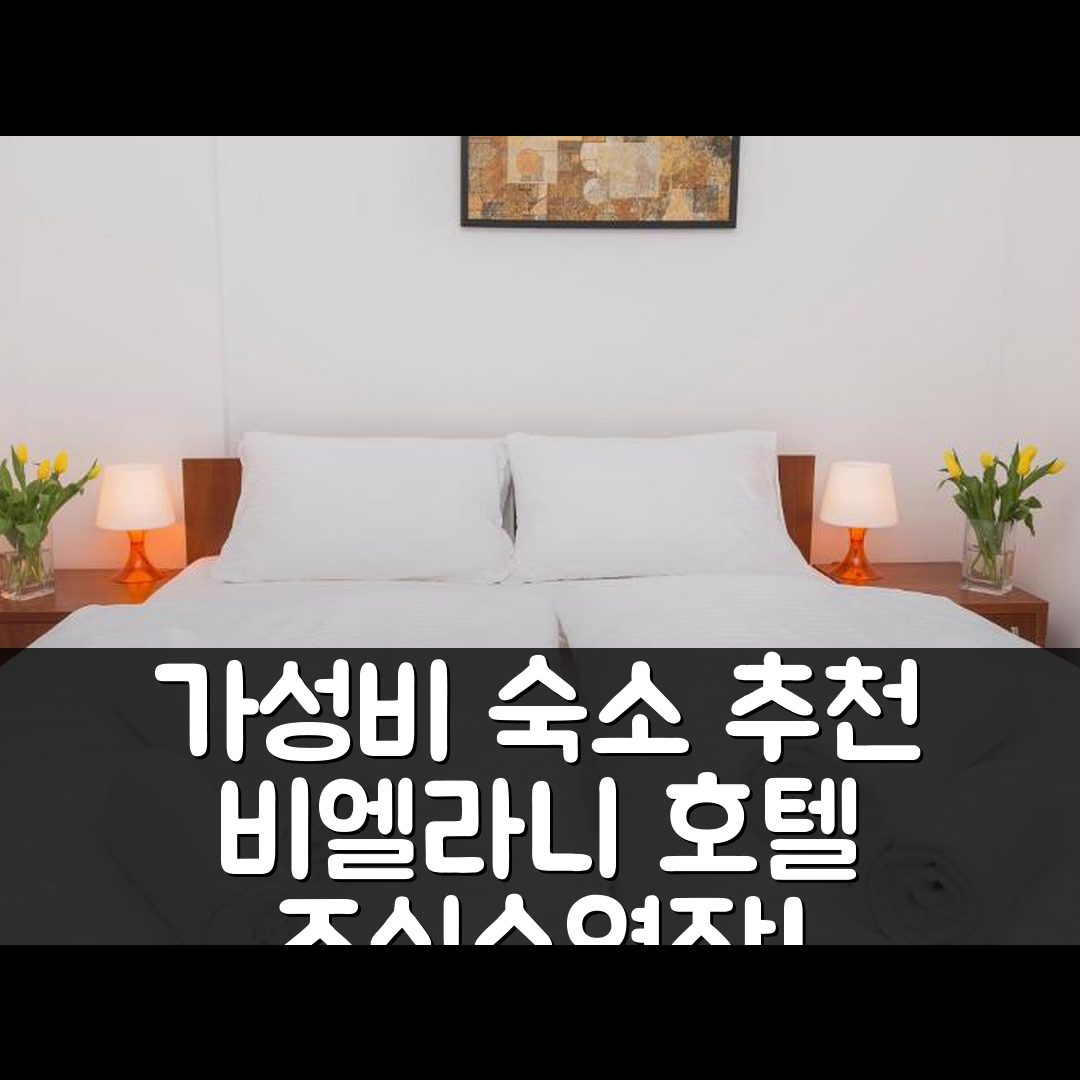 비에라니 브로츠와프스키에 숙소 여행 호텔 추천 엔드호텔 비엘라니 브로츠와프스키에 | 조식과 수영장으로 즐기는 가성비 좋은 5가지 이유