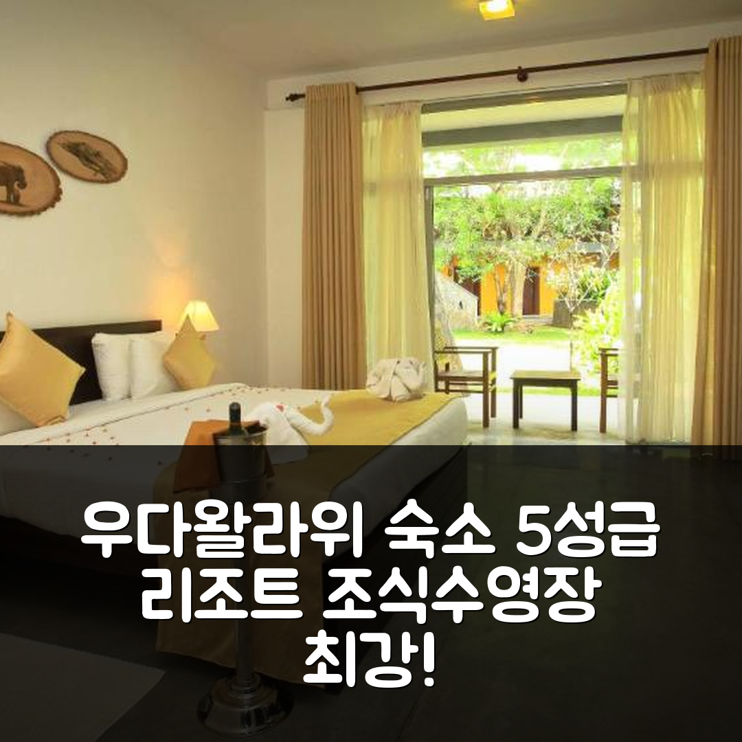 우다왈라위 숙소 여행 호텔 추천 그랜드 우다왈라위 사파리 리조트 | 5성급 조식과 수영장 가성비 7가지 장점