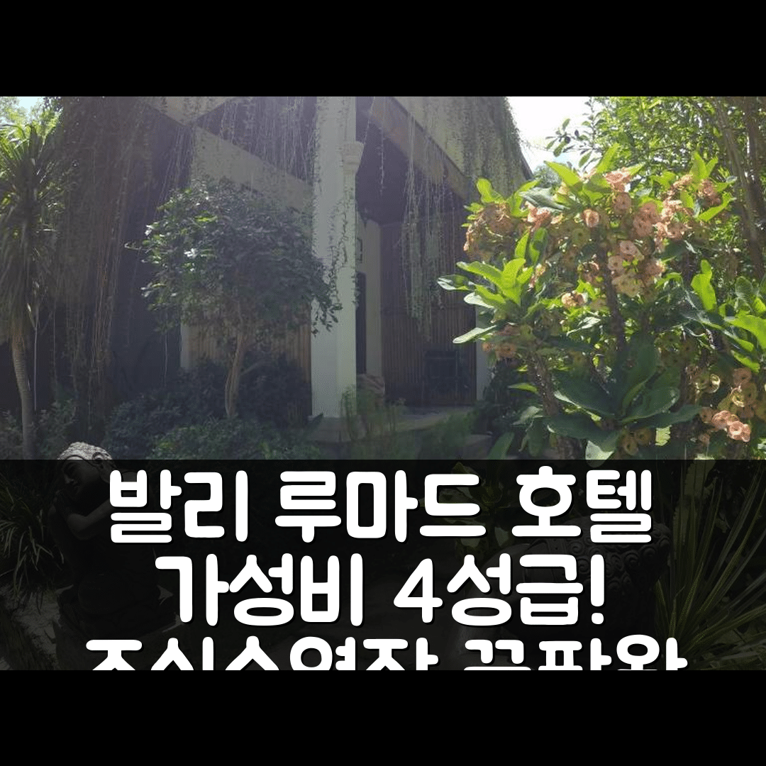 발리 숙소 여행 호텔 추천 루마드 호텔 | 가성비 뛰어난 4성급 조식과 수영장 위치 7가지 장점