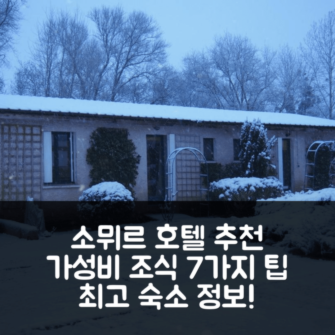 소뮈르 숙소 여행 호텔 추천 샹브르 도트 드 릴 뒤 소흘 | 가성비 뛰어난 조식과 위치 정보 7가지 팁