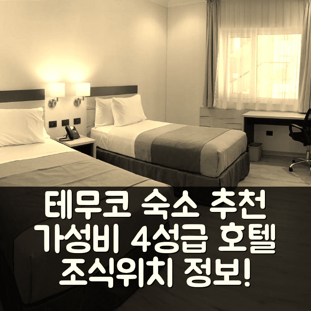 테무코 숙소 여행 호텔 추천 디에고 데 알마그로 테무코 익스프레스 | 가성비 뛰어난 4성급 조식과 위치 정보 5가지