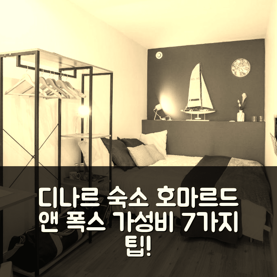 디나르 숙소 여행 호텔 추천 호마르드 앤 폭스 아파트 100m 바다까지 위치와 가성비 좋은 7가지 팁
