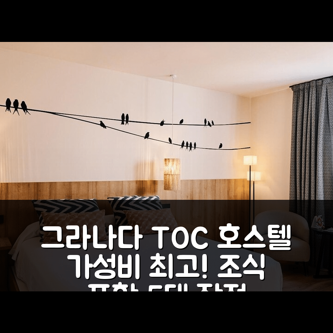 그라나다 숙소 여행 호텔 추천 TOC 호스텔 그라나다 | 가성비와 조식이 뛰어난 5가지 매력 포인트