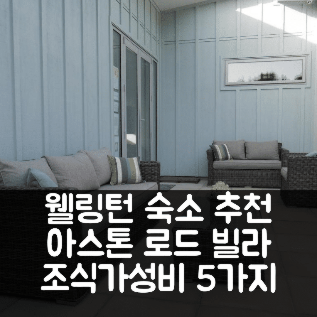 웰링턴 숙소 여행 호텔 추천 아스톤 로드 빌라 비앤비 | 조식과 가성비가 뛰어난 5가지 이유