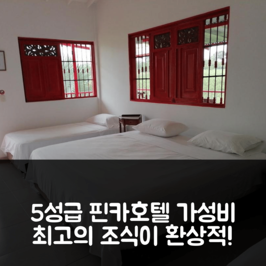 킴바야 숙소 여행 호텔 추천 핀카 호텔 산타나 캄페스트레 킨디오 | 가성비와 조식이 뛰어난 5성급 호텔 7가지 매력