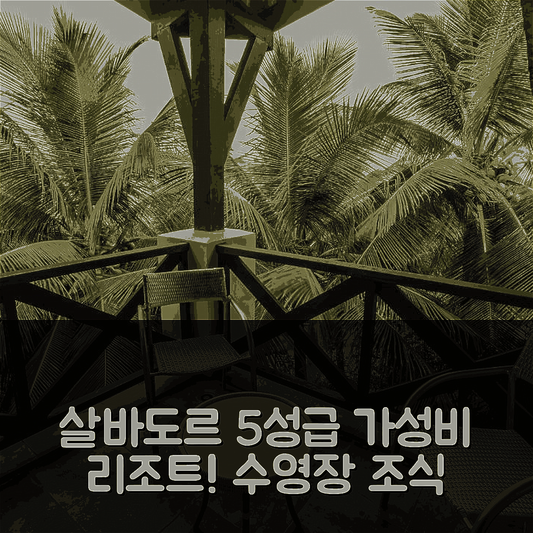 살바도르 숙소 여행 호텔 추천 카투사바 리조트 호텔 | 수영장과 조식이 빛나는 5성급 가성비 7가지 이유