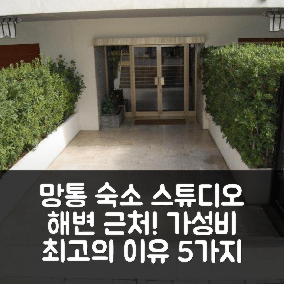 망통 숙소 여행 스튜디오 모던 | 무료 WiFi와 근접한 해변 위치로 가성비 최고의 5가지 이유