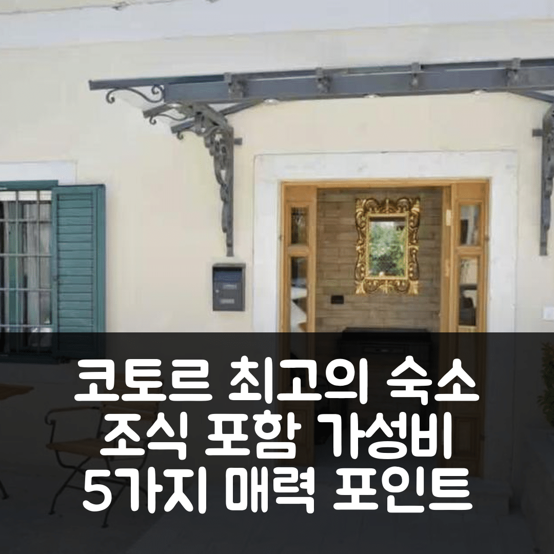 코토르 숙소 여행 호텔 추천 아파트 라브 인 더 시티 센터 | 조식과 가성비 뛰어난 5가지 매력 포인트