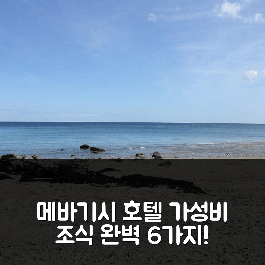 메바기시 숙소 여행 호텔 추천 릴 노티 | 가성비 뛰어난 4성급 위치와 조식 완벽한 이유 6가지