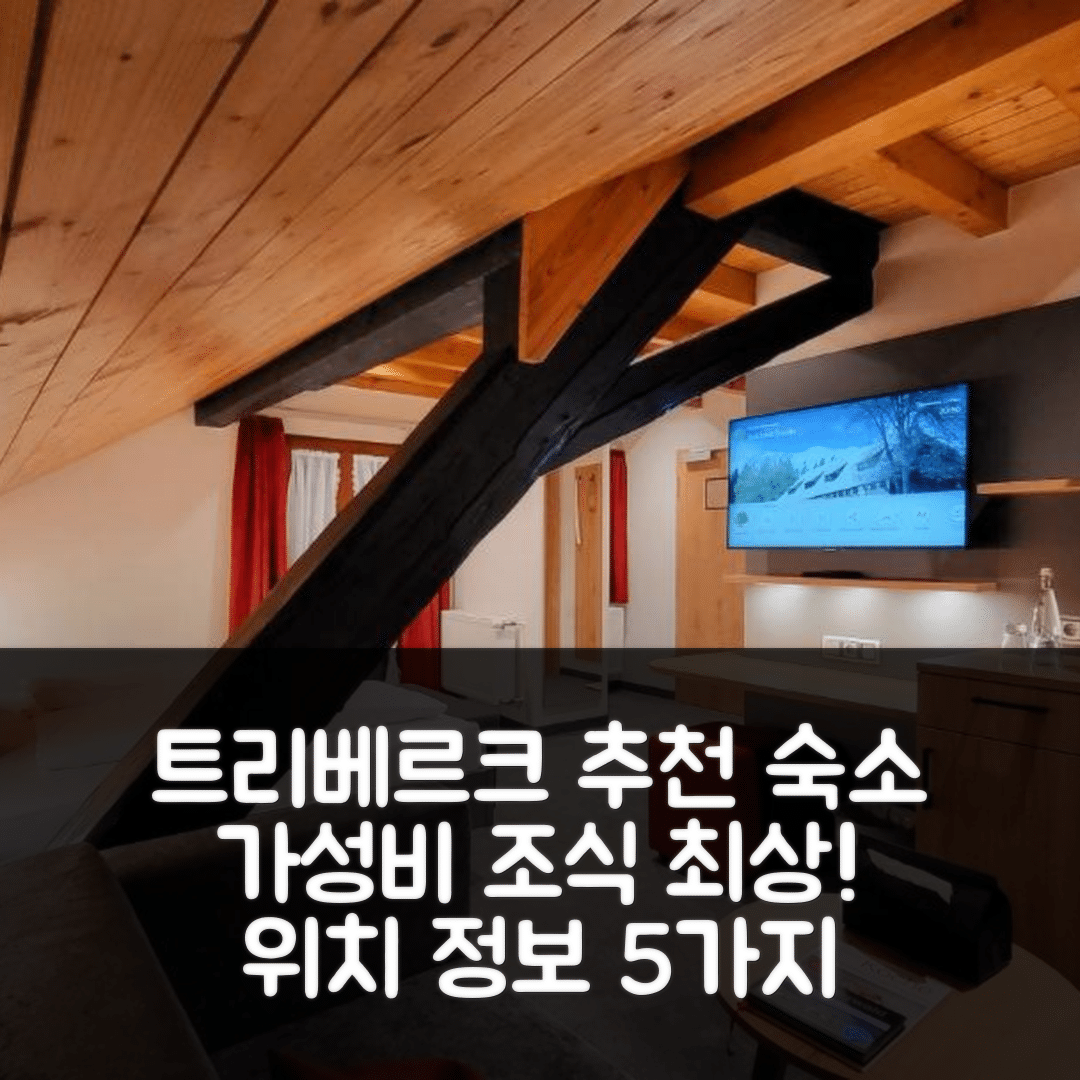 트리베르크 숙소 여행 호텔 추천 가스트하우스 슈타우데 | 가성비 뛰어난 조식과 위치 정보 5가지