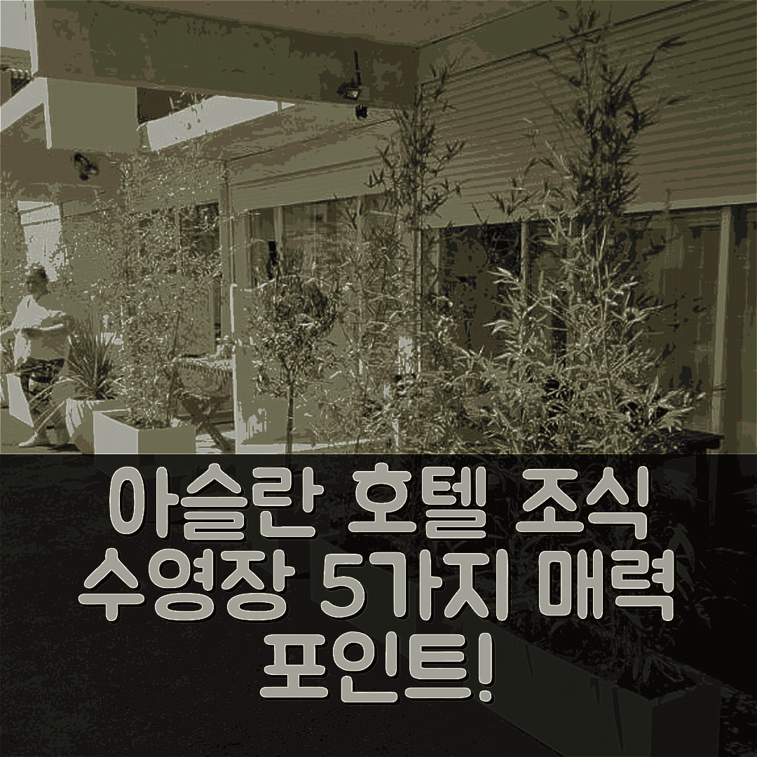 보르므 레 미모사 숙소 여행 호텔 아슬란 호텔 | 조식과 수영장이 매력적인 5가지 이유