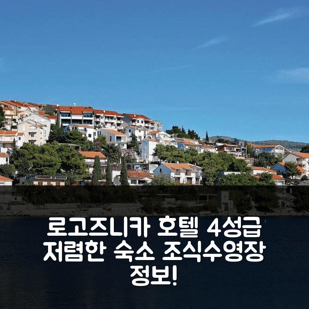 로고즈니카 숙소 여행 호텔 추천 나이스 홈 인 로고즈니카 | 4성급 저렴한 가격과 조식, 수영장 정보 7가지